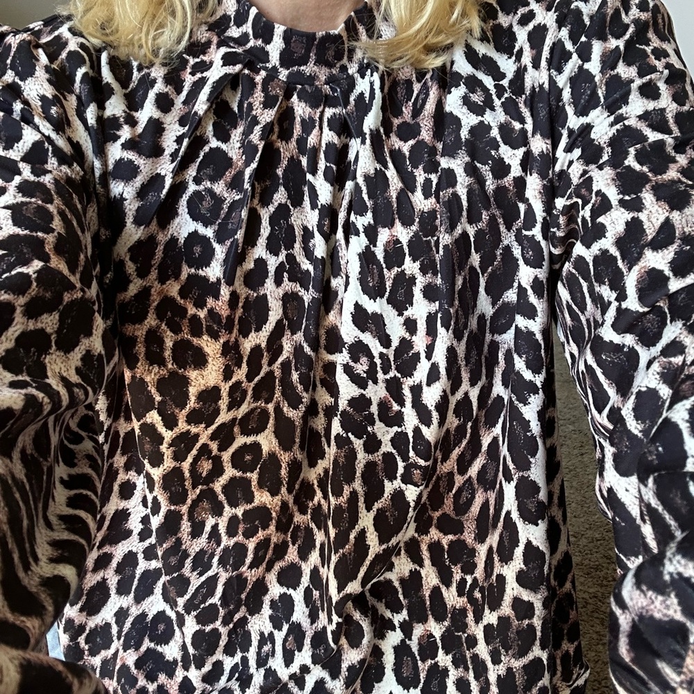 Leopard Print Long Sleeve Blouse